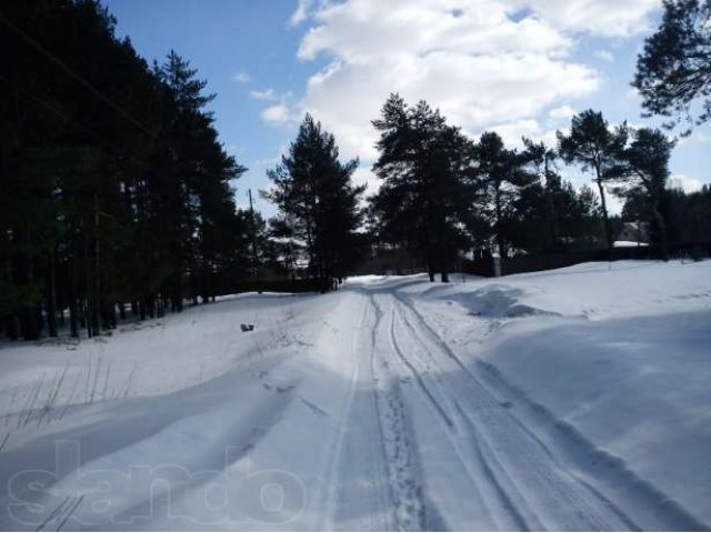 2 смежных участка в пос.Купанское, в сосновом бору в городе Переславль-Залесский, фото 2, стоимость: 1 200 000 руб.