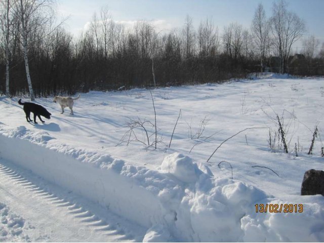 Продаю участок СНТ СТАРТ-1, рядом с дер. Ионово Орехово-Зуевский р-н в городе Дрезна, фото 6, Продажа земли под индивидуальное строительство