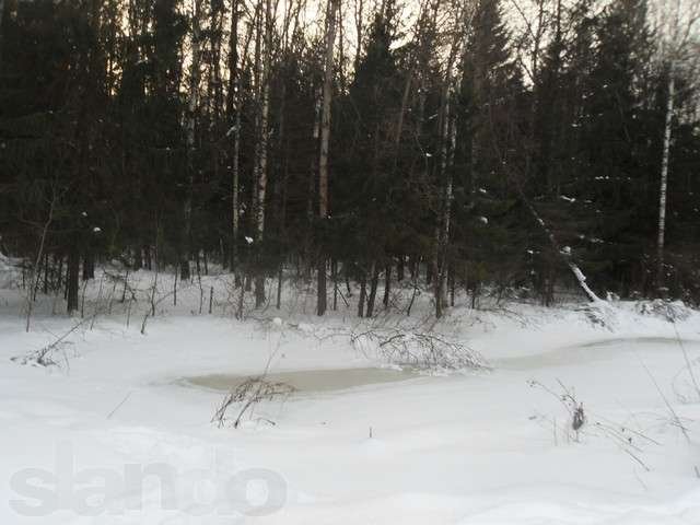 Земельный участок 7 соток в СНТ Смородинка, д. Верховье в городе Жуков, фото 4, Калужская область