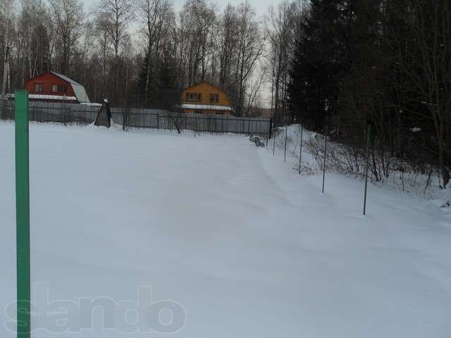 Земельный участок 7 соток в СНТ Смородинка, д. Верховье в городе Жуков, фото 5, стоимость: 850 000 руб.