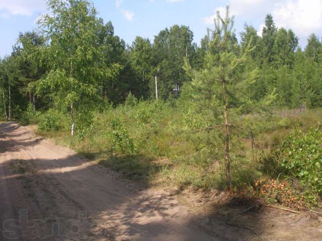 участок в Высоцке в городе Санкт-Петербург, фото 6, стоимость: 900 000 руб.