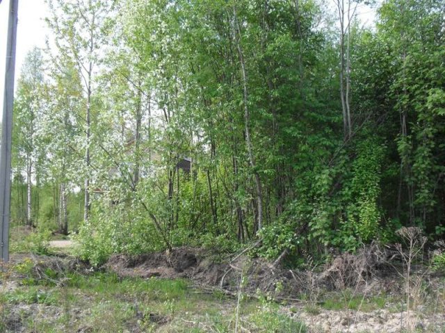 участок рядо с городом в городе Санкт-Петербург, фото 6, Продажа земли под индивидуальное строительство