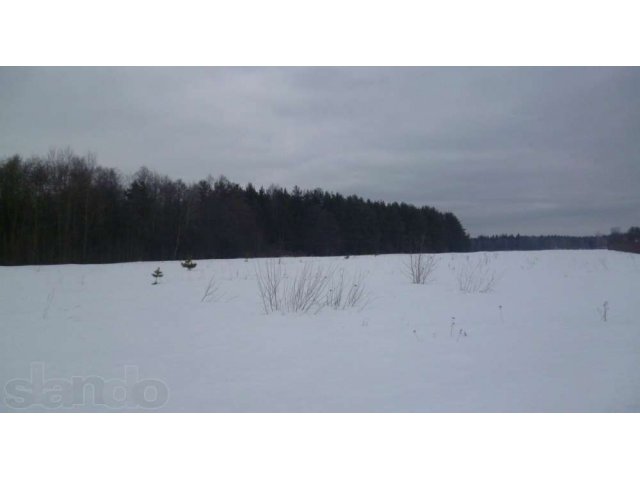 земельный участок в д.Нестерово рядом с сосновым лесом в городе Орехово-Зуево, фото 8, Московская область