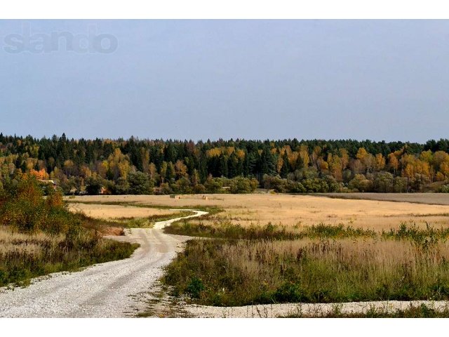 Участок + электричество в городе Серпухов, фото 3, Продажа земли под сад и огород