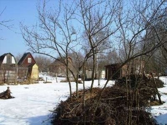 Дача в д.Кузнецы с/т Надежда в городе Павловский Посад, фото 2, стоимость: 1 000 000 руб.