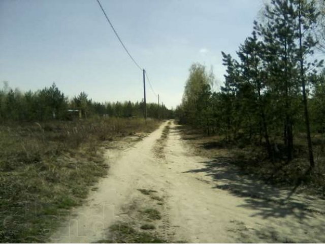 Участок в СНТ КАЛИНКА для Летнего отдыха !!! в городе Павловский Посад, фото 4, Московская область