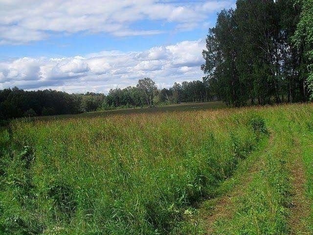 Коттеджный поселок  Индия в городе Новосибирск, фото 1, Новосибирская область