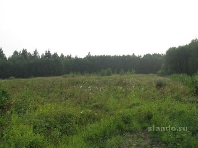 Участок у реки для дачного стр-ва в городе Волхов, фото 1, Ленинградская область