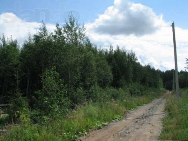 Участок в тихом и уютном мини сад-ве (всего 60 уч-в) в городе Любань, фото 3, стоимость: 199 000 руб.