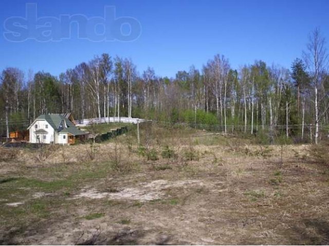 СНТЛесное Всеволож.р-н в городе Всеволожск, фото 1, Продажа земли под сад и огород