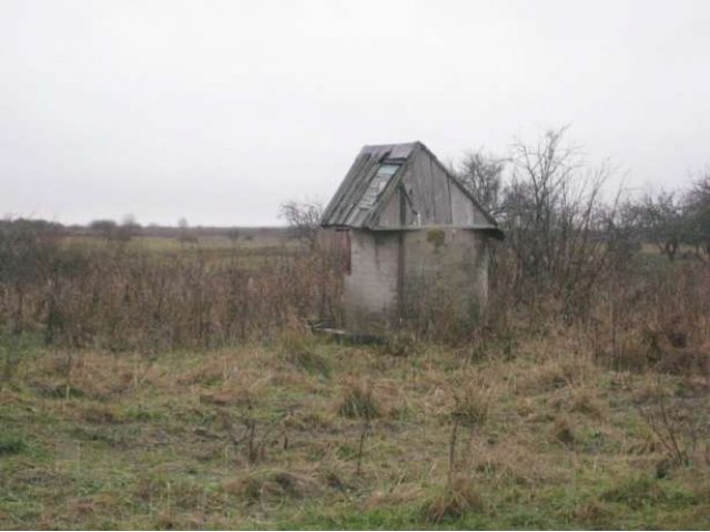 Продам земельный участок д.Веряжа в городе Старая Русса, фото 6, Продажа земли под сад и огород