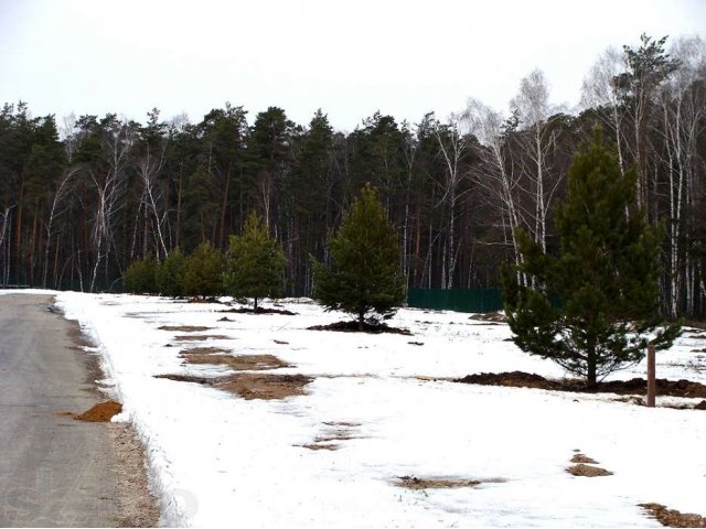 Участок + электричество + газ + водопровод + канализация в городе Жуковский, фото 3, Продажа земли под сад и огород