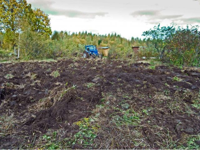 Продам участок 20 соток СНТ «Лесное» в городе Александров, фото 6, Продажа земли под сад и огород