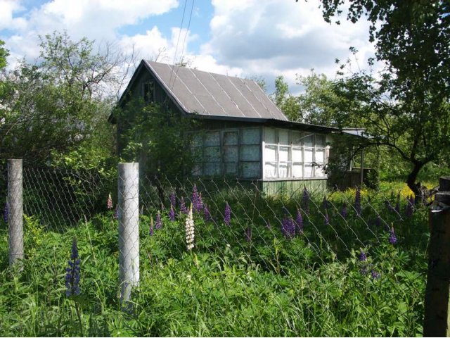 Продам дачный участок в пос.Воровского в городе Электроугли, фото 3, Продажа земли под сад и огород