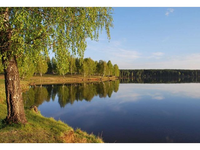 Земельный участок в поселке Приозерный в городе Сергиев Посад, фото 1, стоимость: 180 000 руб.