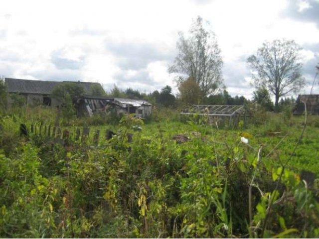 Продам участок в Новгородской обл .Парфинский р-он д.Борки в городе Старая Русса, фото 2, Новгородская область