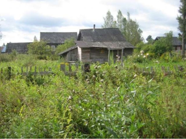 Продам участок в Новгородской обл .Парфинский р-он д.Борки в городе Старая Русса, фото 6, стоимость: 150 000 руб.