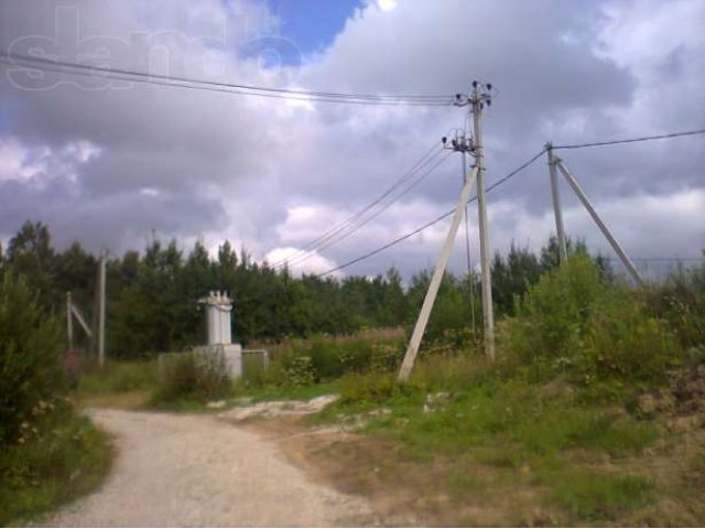 Кингисеппский район. СНТ Систа в городе Кингисепп, фото 3, Ленинградская область