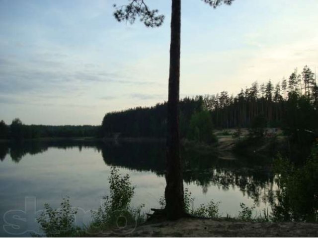 Участок с летним домом у леса, рядом с прудом и Белым озером. Г. Шат в городе Шатура, фото 6, стоимость: 350 000 руб.