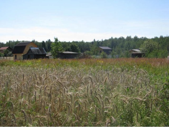 Участок 8соток в Киржачском р-не,Щелковс,Горьковс.ш в городе Киржач, фото 3, Продажа земли под сад и огород