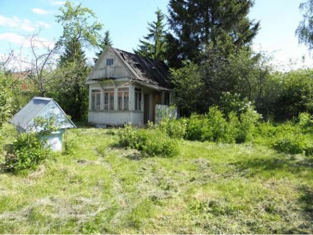 Аккуратный участок в уютном тупиковом месте. Жаворонки (СНТ). в городе Одинцово, фото 3, Московская область