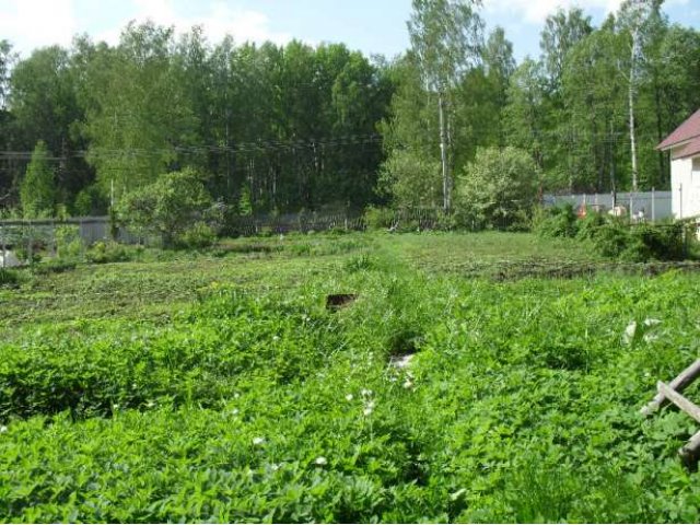 Дачный участок в городе Киржач, фото 3, Продажа земли под сад и огород