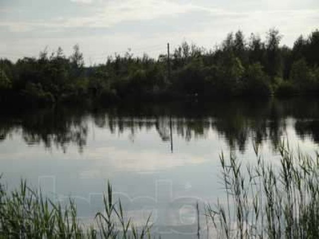 Продам земельный участок в городе Павловский Посад, фото 2, Московская область