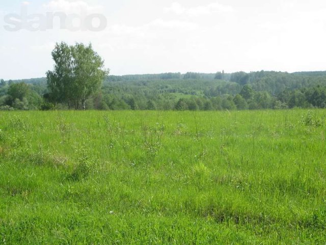 Продам 12 соток в экологически чистом месте в городе Жуков, фото 4, Калужская область