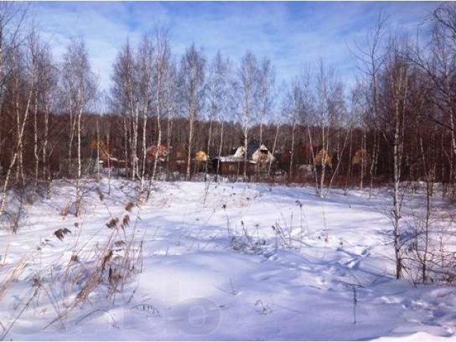 Дачный участок в с/т Полтево, Ногинский район в городе Электроугли, фото 1, стоимость: 1 100 000 руб.