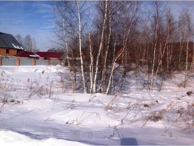 Дачный участок в с/т Полтево, Ногинский район в городе Электроугли, фото 3, Московская область