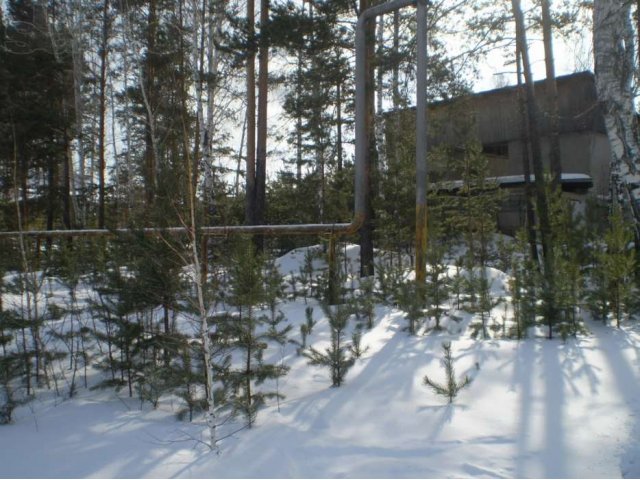 Продается зем.участок в Двуреченске в городе Сысерть, фото 1, Продажа земли под сад и огород