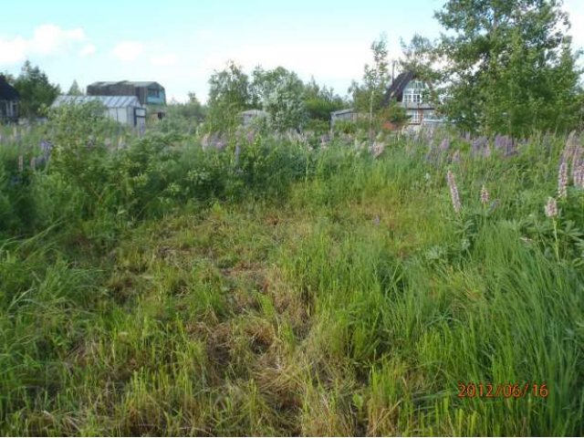 Продается участок 6 соток за Старой Мельницей в городе Великий Новгород, фото 1, Продажа земли под сад и огород