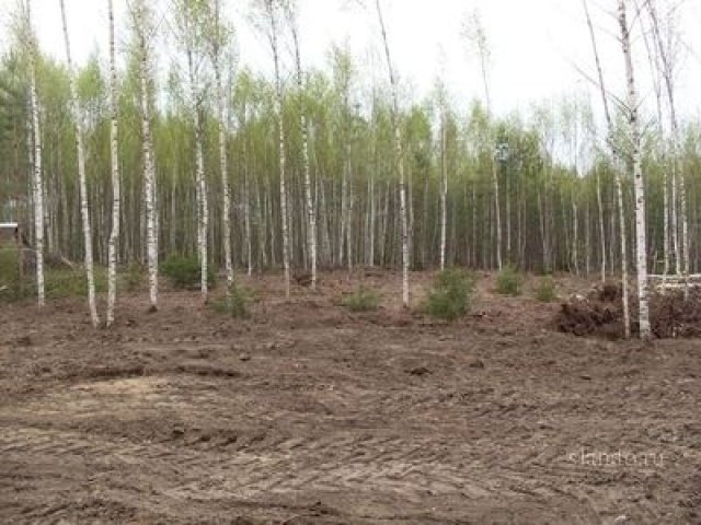 6 соток Горьковское ш. 60 км. От Мкад д. Дальняя в городе Павловский Посад, фото 1, Продажа земли под сад и огород