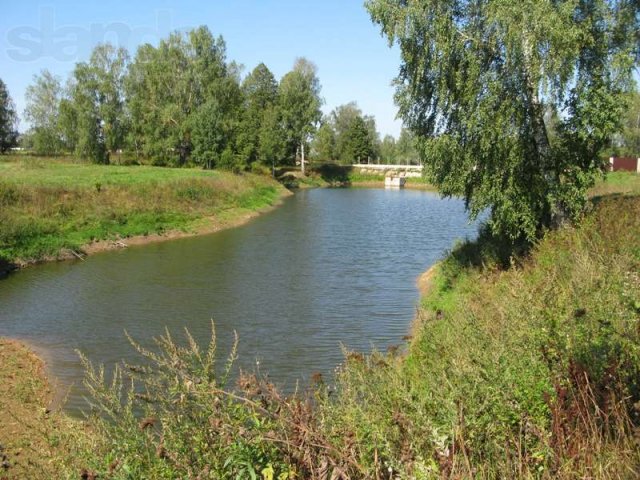 Продается участок 15 соток в поселке Калужские дачи. в городе Жуков, фото 1, Продажа земли под сад и огород