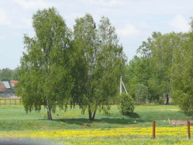 Продается участок 15 соток в поселке Калужские дачи. в городе Жуков, фото 2, Калужская область