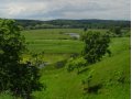 Участки в садовом товариществе Петушинский район, д Ларионово в городе Петушки, фото 1, Владимирская область