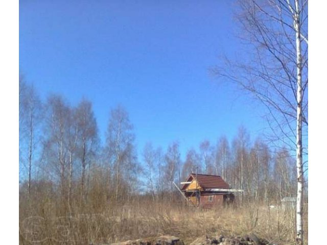 Садовый участок Всеволожский р-н в городе Санкт-Петербург, фото 1, стоимость: 800 000 руб.