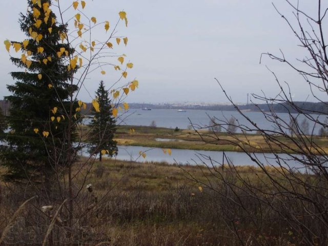 Под садоводство 10 соток в городе Кострома, фото 1, стоимость: 250 000 руб.