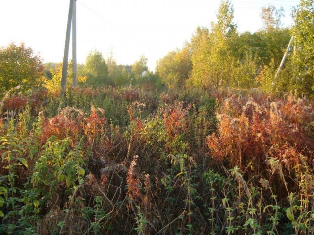 Участок в городе Пушкино, фото 1, стоимость: 800 000 руб.