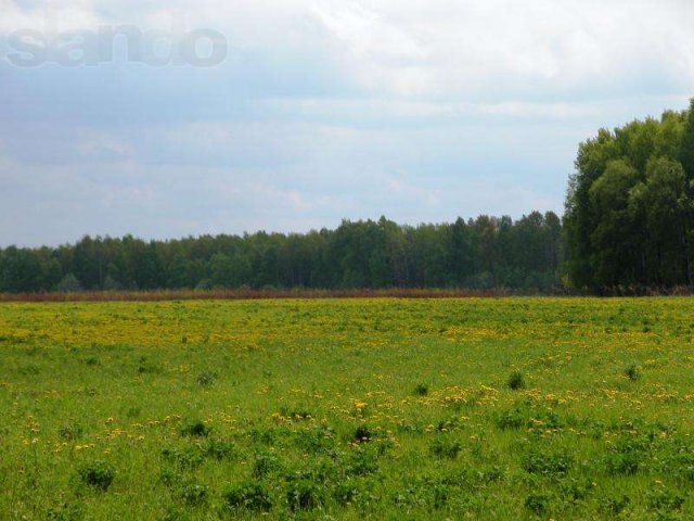 Продается участок 2 Га Московская область 96 км от МКАД в городе Сергиев Посад, фото 2, Продажа земли под сад и огород