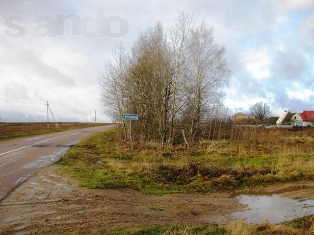 Д.Уголки участок 380 соток под дачное строительство в городе Хотьково, фото 5, Продажа земли под сад и огород