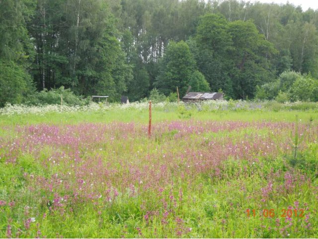 Участок в снт в городе Петушки, фото 2, стоимость: 250 000 руб.