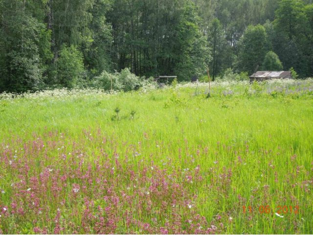 Участок в снт в городе Петушки, фото 3, Продажа земли под сад и огород