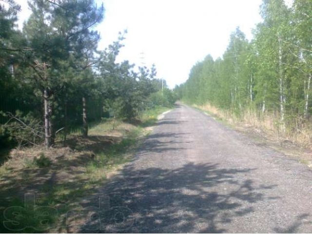 Недвижимость Горьковское ш. СНТ Калинка 8 соток в городе Павловский Посад, фото 2, Продажа земли под сад и огород