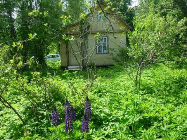 Участок 4,3 сотки в городе Кингисепп, фото 1, стоимость: 350 000 руб.