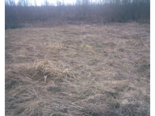 Садовый уч-к массив Юркино, Кингисепп в городе Кингисепп, фото 1, стоимость: 60 000 руб.