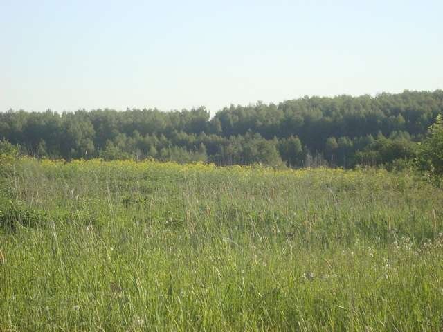 15 соток в деревне Хмельники в городе Переславль-Залесский, фото 1, стоимость: 380 000 руб.