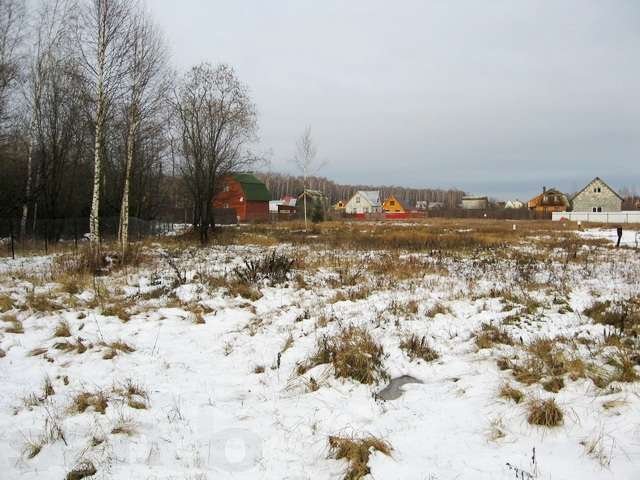 Симф. ш. 59 км, 7 сот у леса, ж/д ст. - 20 м.п. в городе Серпухов, фото 1, Продажа земли под сад и огород