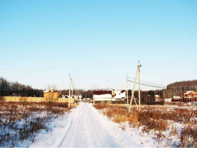 Участок 9 сот ново-рижское Палицы Газ Свет 20 км в городе Одинцово, фото 4, Продажа земли под сад и огород