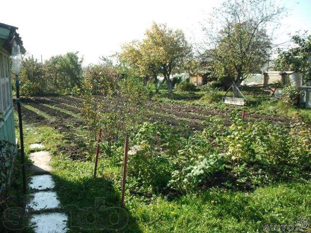 Купить Огород В Ижевске Массив Монтажник